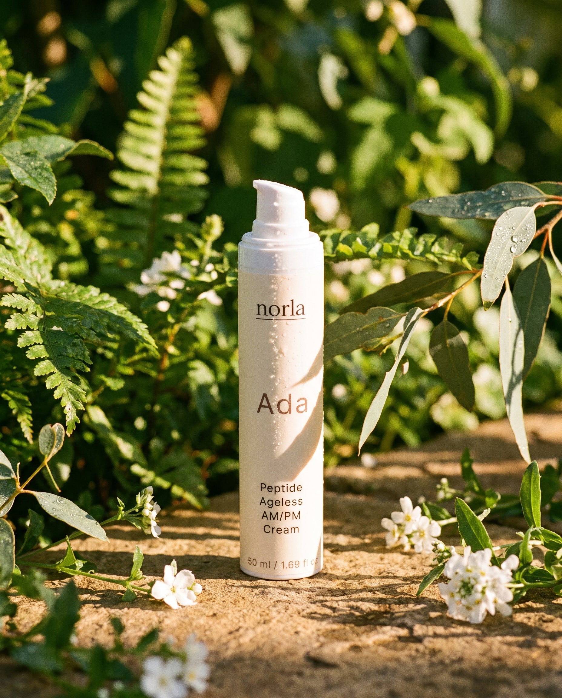Ada — Peptide Ageless AM/PM Cream - Norla