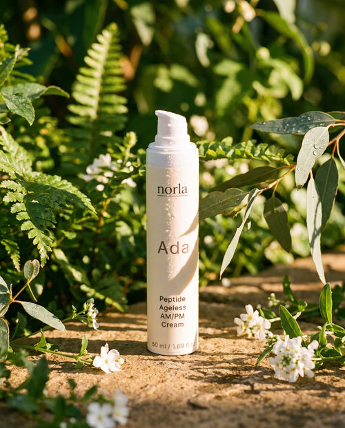 Ada — Peptide Ageless AM/PM Cream - Norla